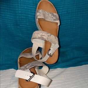 Dolce Vita Snake Print Sandals in Cream and Gray